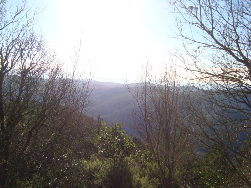gal/2010/12 - Autunno Inverno 2010 - Le escursioni in MTB/Monte Quoio/sul_monte_quoio_2.JPG